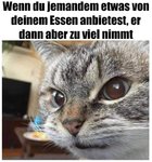 941A80D1-0D73-444D-9B0D-C5F76543134B.jpeg