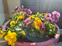 20211106_110017.webp
