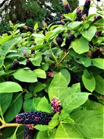 IMG_20210917_121637.webp