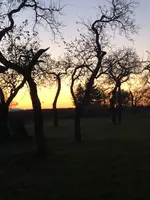 0367E19E-7938-4D07-BE80-1263417BDE08.webp