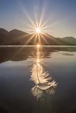 1636234523127.webp