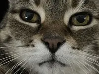 E6C4F7E9-C98B-4751-97D6-451E8C4D5FBB.webp