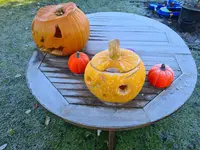 20211107_101936.webp
