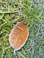 20211107_102013.webp