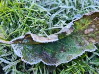 20211107_102027.webp