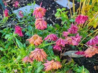 20211107_102053.webp