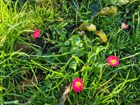 20211107_102105.webp