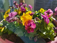 20211107_102640.webp