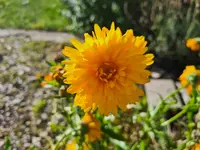 20211107_103609.webp