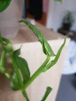 20211107_113227.webp