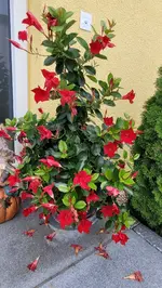 20211107_113652.webp