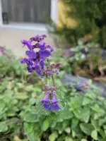 20211107_113850.webp