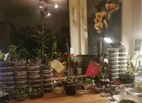 IMG_20211107_193917_edit_1756139479113800.webp