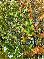 IMG_20210907_142457_1.webp