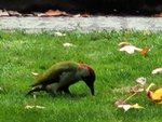 IMG-20211108-WA0003.jpg