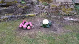 20170327_184913.webp