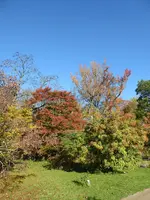 P1050731.webp