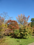 P1050731.JPG
