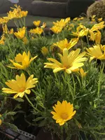 6D6D885F-CBE7-47DC-9361-A8922FF195DF.webp