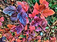 IMG_20211110_094623.webp