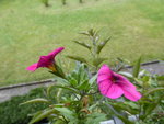 P1050767.JPG