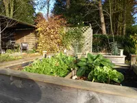 P1050775Hochbeet.webp