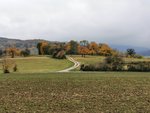 IMG_20211103_155928.jpg