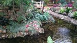 DSC_0126 (4).JPG