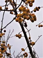 IMG_20211115_130753.jpg