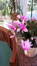 20211030_131527.webp