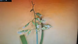 20211116_221823.webp