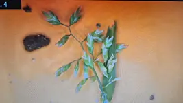 20211116_222004.webp