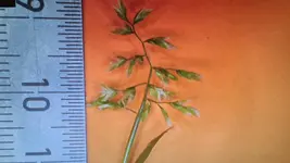 20211116_222618.webp