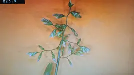 20211116_223053.webp