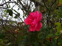 DSC02167.JPG