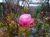 DSC02168.JPG