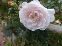 DSC02170.JPG