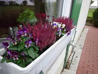 DSC02172.JPG