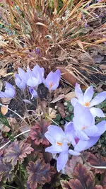 20211118_134625.webp