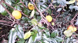 DSC_1526 (2).webp