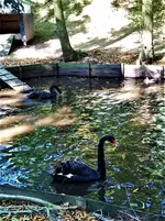 IMG_20200918_141839_4.webp