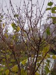 IMG_20211121_112312_HDR.jpg