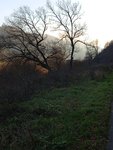 IMG_20211121_143111 (2).jpg