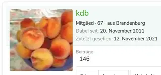 kdb.webp