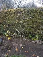 20211120_151804.webp