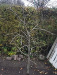 20211120_151838.jpg