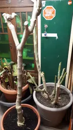 20211122_182757.webp