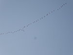 P1050826.JPG