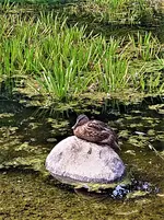 IMG_20210910_152831_2.webp