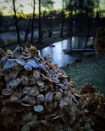 IMG_20211127_0721205-01.webp